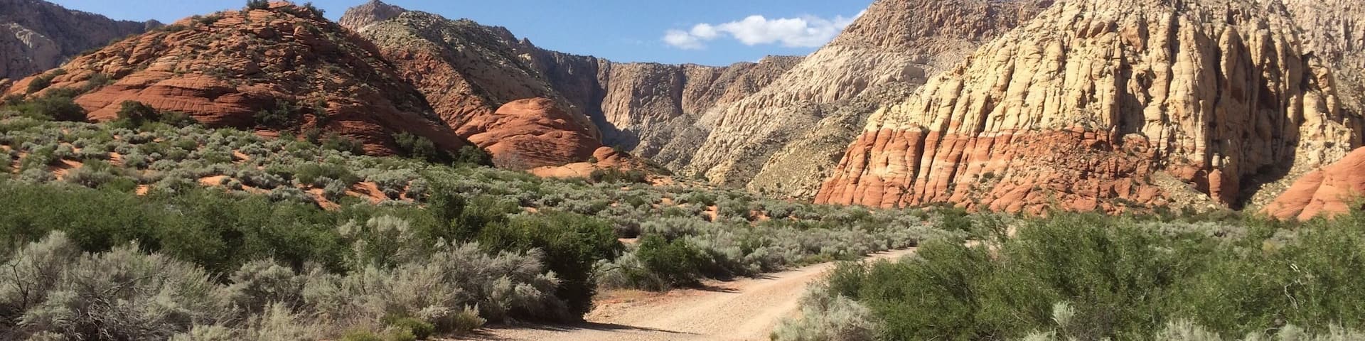 Un camino de tierra serpentea por un paisaje desértico con formaciones rocosas rojas y vegetación escasa.