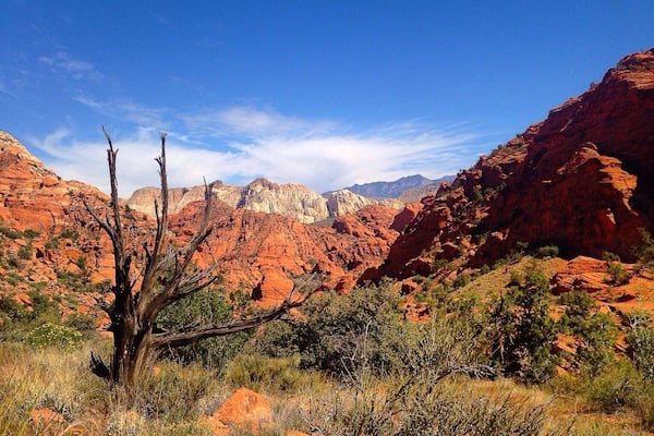 Padre Canyon Trail in Snow Canyon State Park. Southern Utah is unlike any other place on the planet. Mesmerizing beauty everywhere you look.