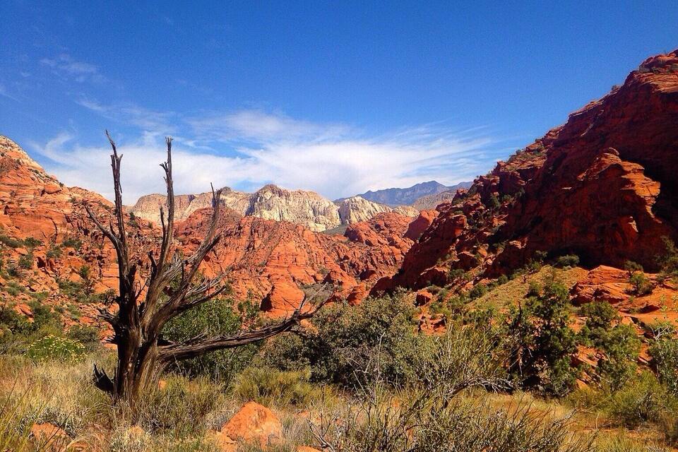 A desert landscape with red rock formations, sparse vegetation, and a clear blue sky.