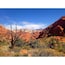 Padre Canyon Trail in Snow Canyon State Park. Southern Utah is unlike any other place on the planet. Mesmerizing beauty everywhere you look.