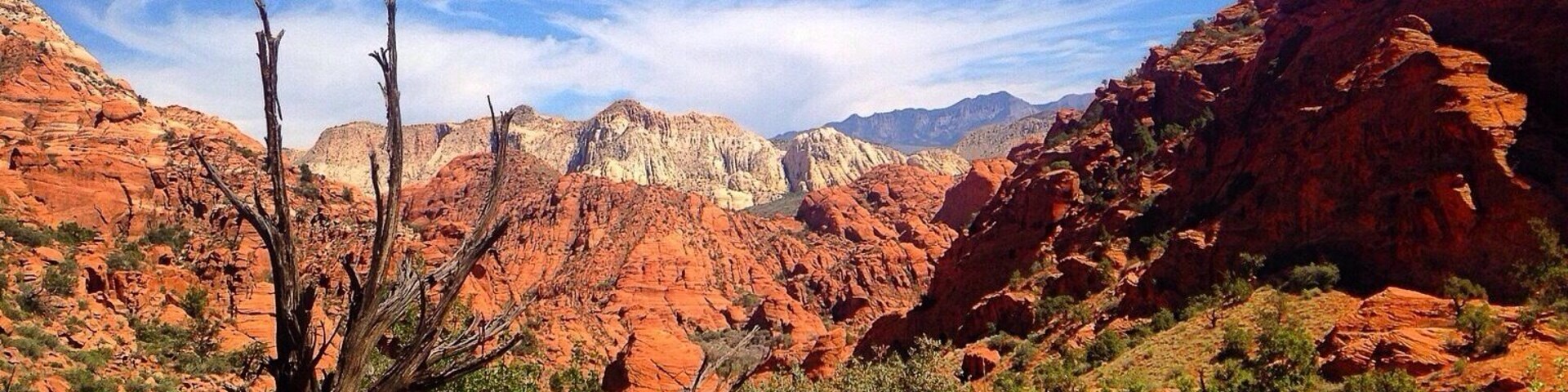 Padre Canyon Trail in Snow Canyon State Park. Southern Utah is unlike any other place on the planet. Mesmerizing beauty everywhere you look.