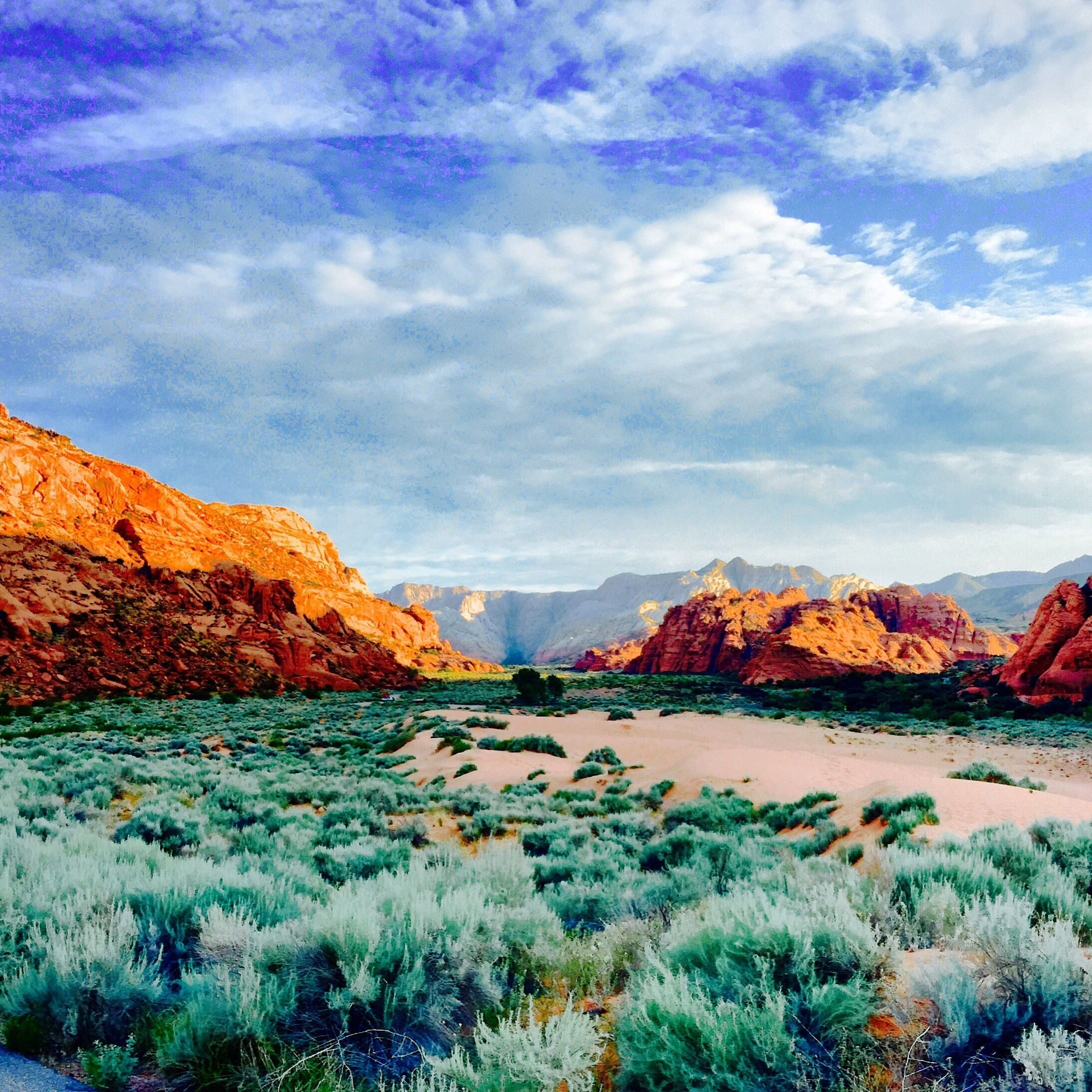 One more from Southern Utah. Can't believe I have taken this scenery for granted my entire life. I pay more attention to my surroundings on my bike. 