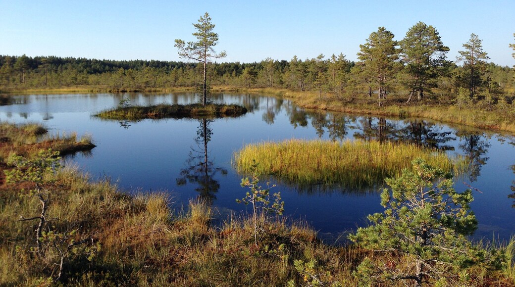 ๋ผ์ฐ์๋ธ๋ผ