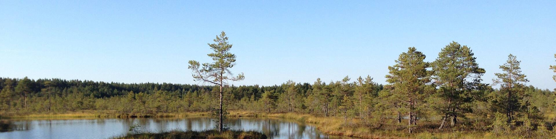 0_5d45c247-e90e-492d-a4b5-9121076261ce_raw