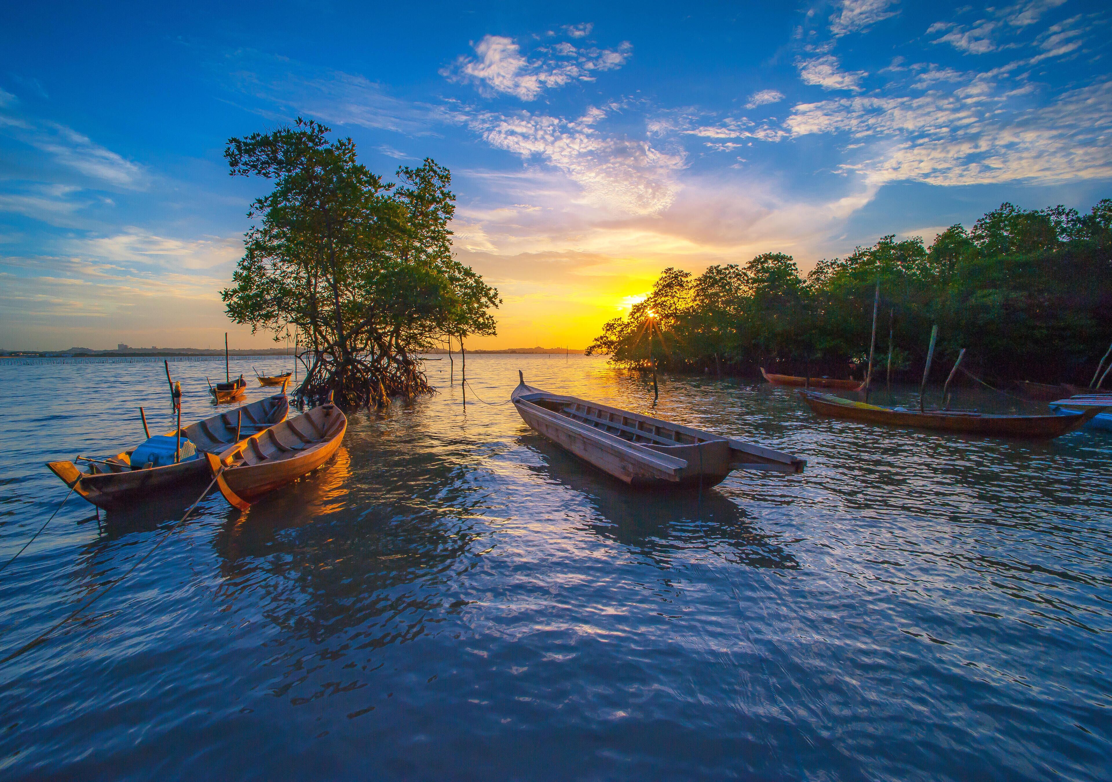 A sunset over a calm body of water with several wooden boats anchored near a tree-lined shore.