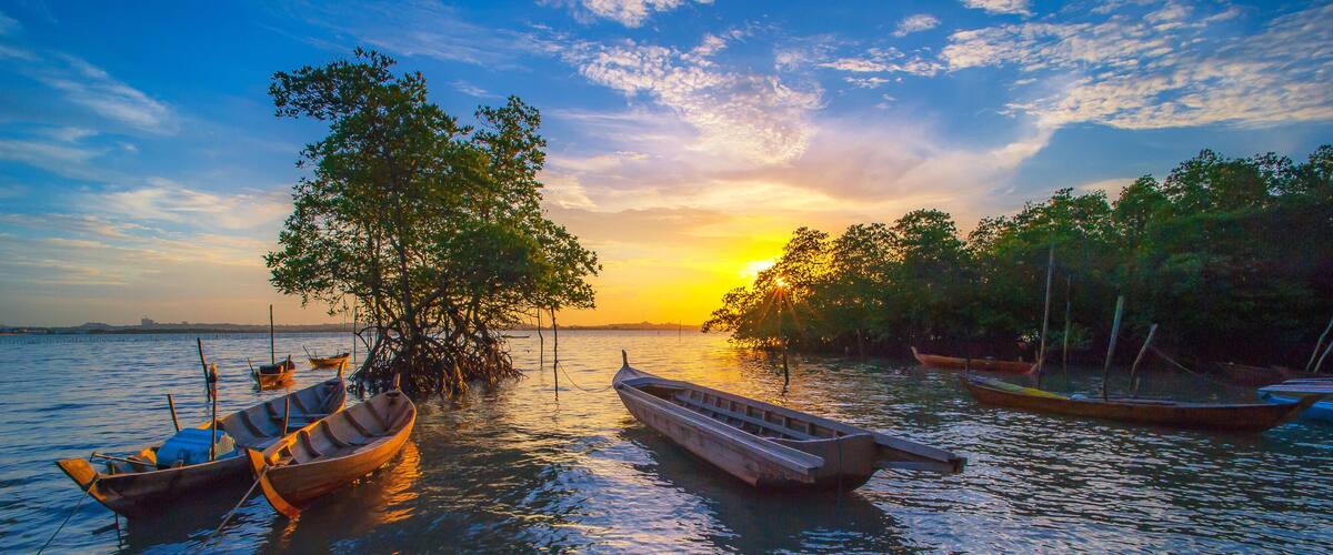 A sunset over a calm body of water with several wooden boats anchored near a tree-lined shore.