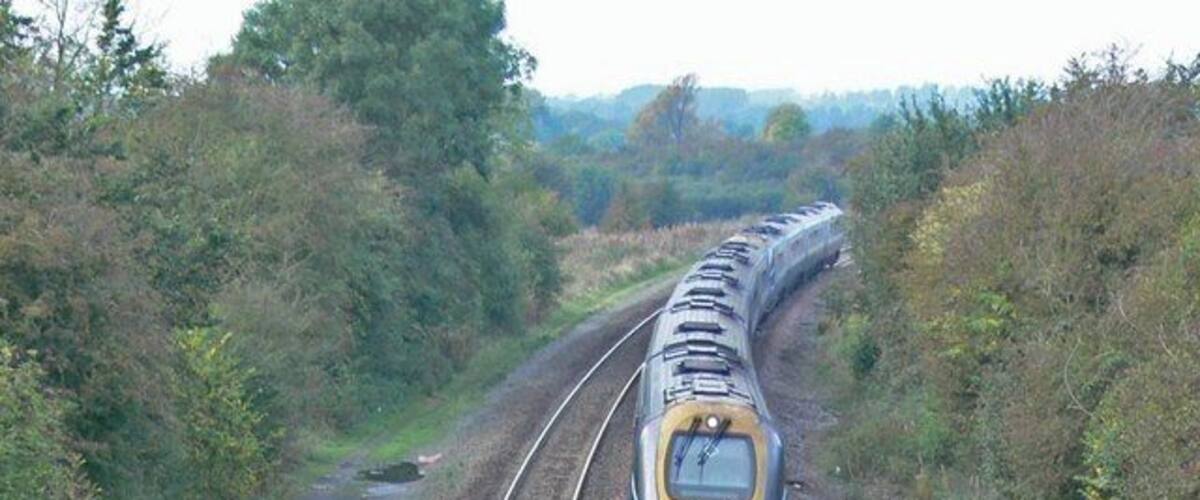 A train on a railway track surrounded by greenery.