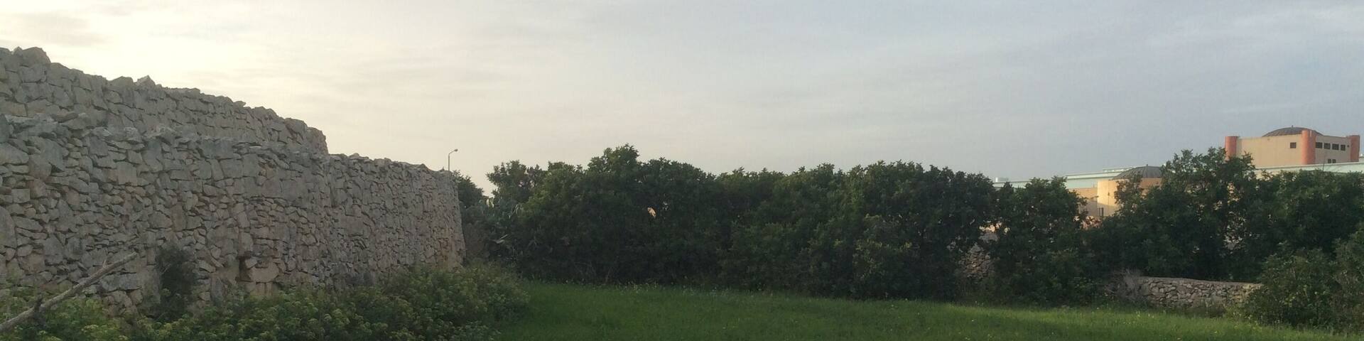 Swatar - Landscape and rubble wall in Swatar