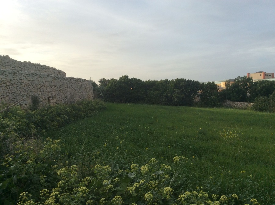Swatar - Landscape and rubble wall in Swatar