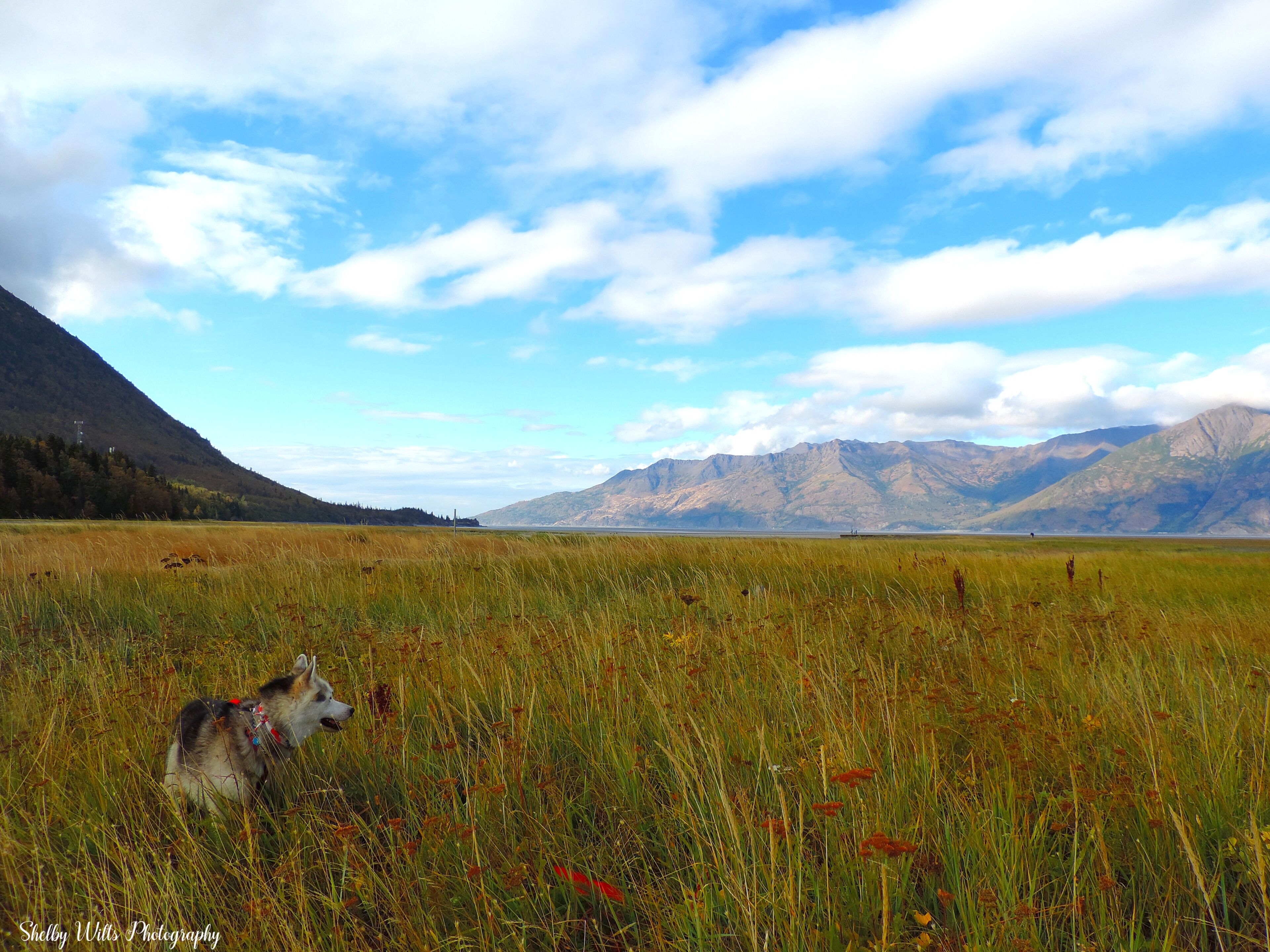 Adventures with Atlas #Adventure