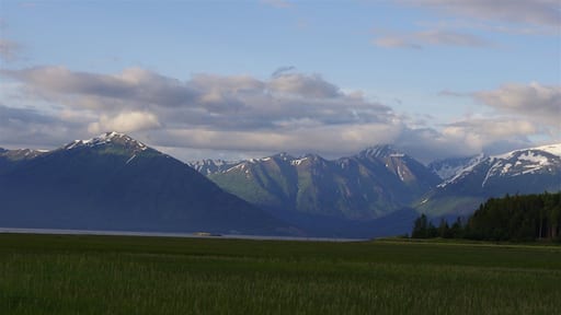 0_0c53920f-3ffa-4414-9a85-ece6d1c200ff_orig