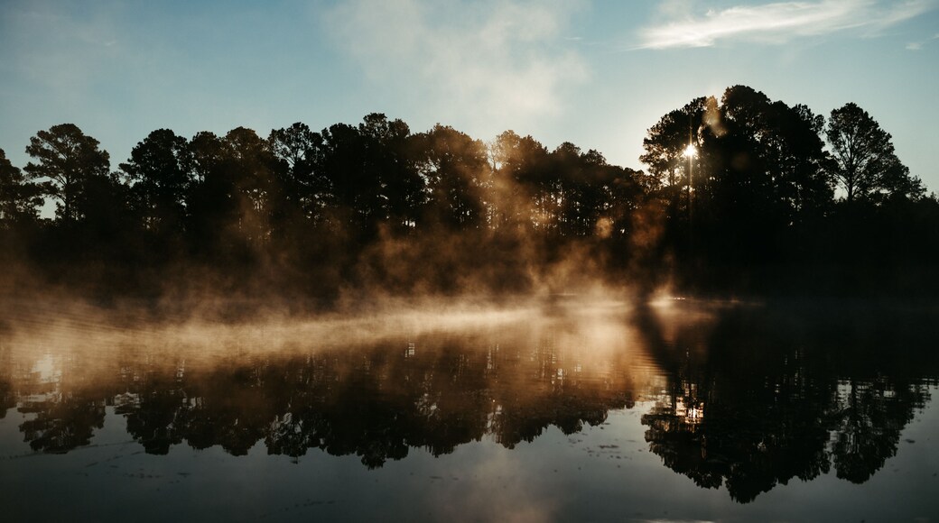 En stilla sjö med träd som speglar himlen och solljuset.
