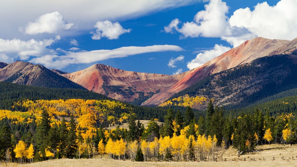 A mountain range with autumn foliage and a clear sky.