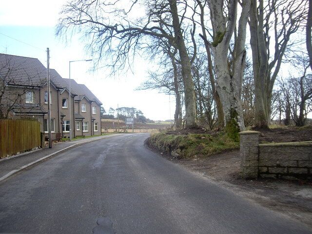 A residential street with houses, trees, and a clear sky.