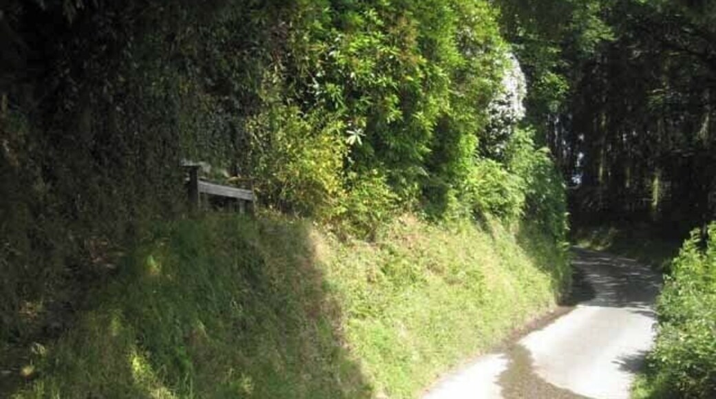 Maldwyn's Seat near Llanllugan. This informal seat labelled "Maldwyn's Seat 1004" stands above this narrow lane near Llanllugan, and overlooks an attractive ford over the stream 900071.