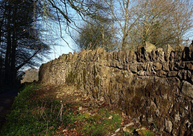 Wall, Gappah Lane A stone wall in early sunlight by the lane past Collyhole Brake (on the left), leading from the A380 near Olchard to Gappah.