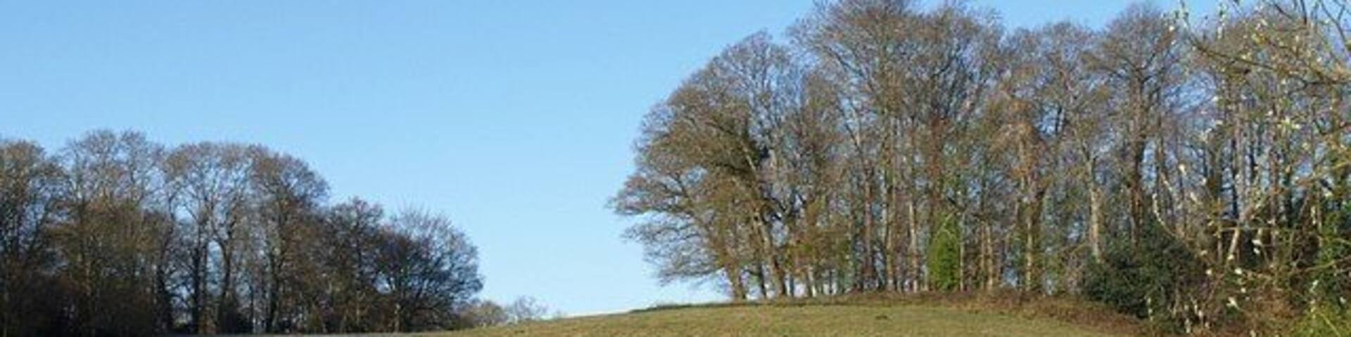 Round wood at Wapperwell From the lane below Ideford Arch, near the bridge beneath the A380, a view across and up a field to a circular patch of trees that is a prominent sight from the dual carriageway. On the left is The Downs Wood.