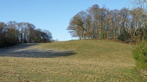 Round wood at Wapperwell From the lane below Ideford Arch, near the bridge beneath the A380, a view across and up a field to a circular patch of trees that is a prominent sight from the dual carriageway. On the left is The Downs Wood.