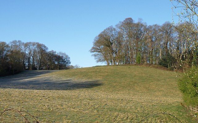 A grassy hill with trees in the background.
