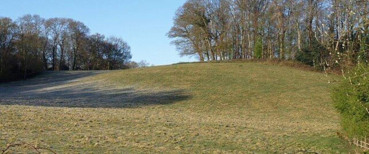 A grassy hill with trees in the background.