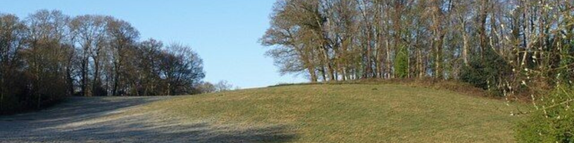 A grassy hill with trees in the background.