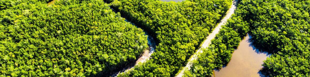 Aerial view of mangroves and lagoon surrounded by lush greenery, Vero Beach, United States.