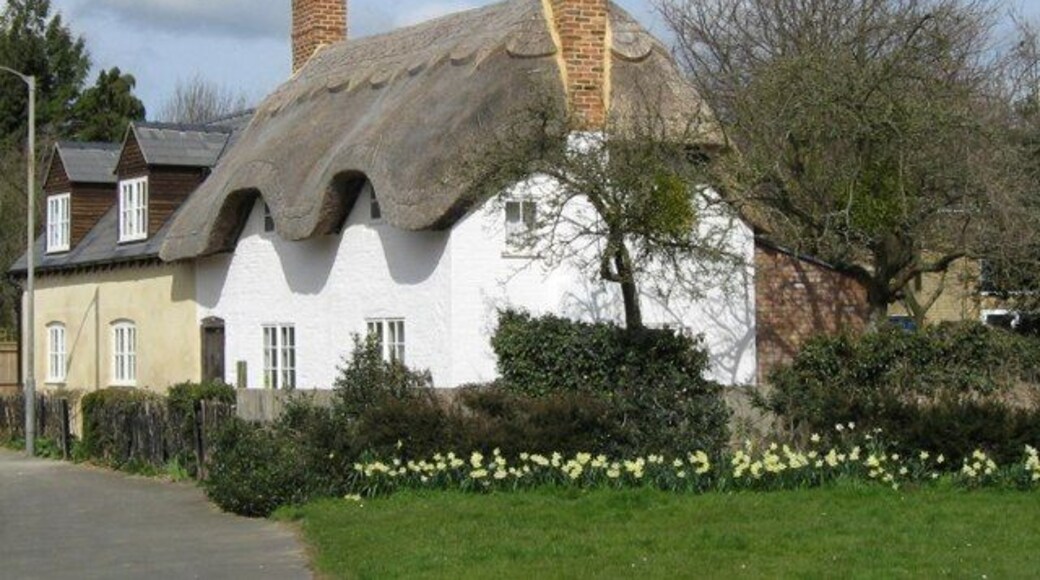 Chocolate box thatch Super cottage on Hanmer Road, Simpson.