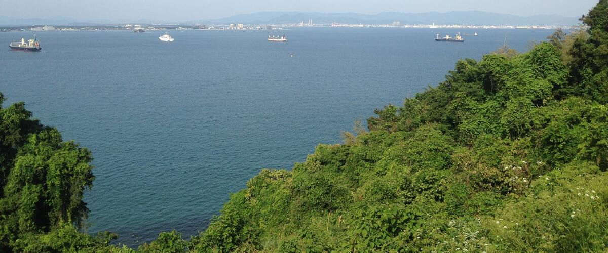 A coastal cityscape with several ships on the water and a distant city skyline.