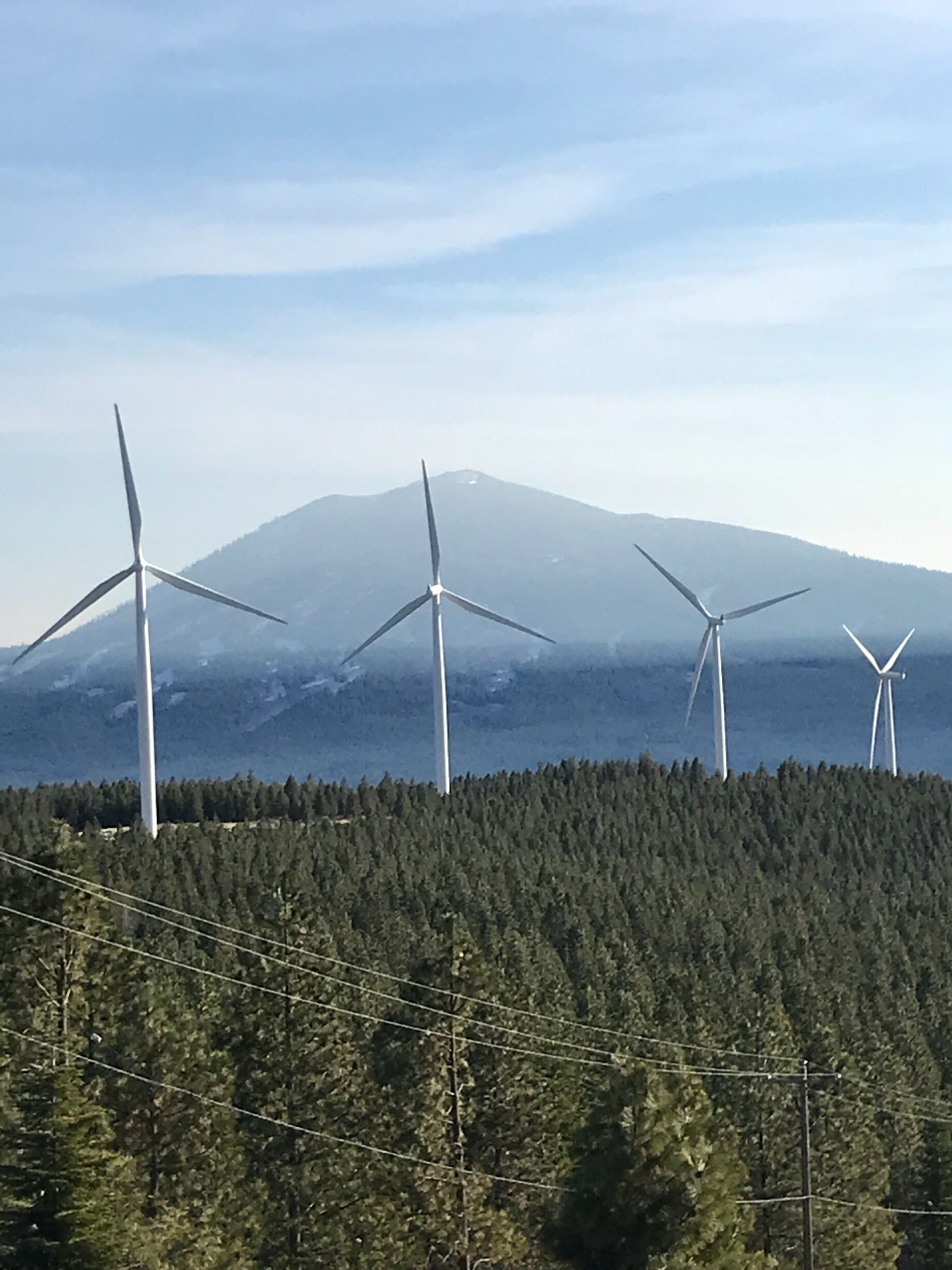 Very gorgeous view of Mount Burney that you won’t get from the Vista point go up Bunchgrass Road and follow the signs for the Wind Farm.  I have lived here a year and just learned about this secret place.  Definitely worth dipping off Hwy 299 and turning west.