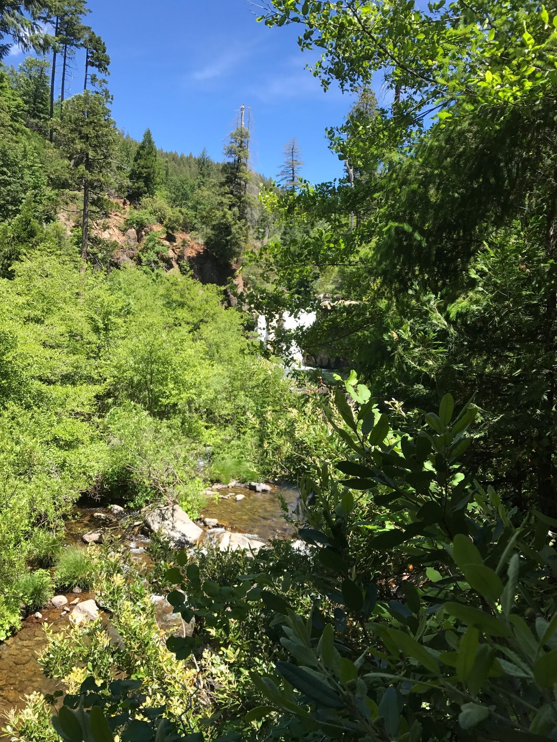 View of the waterfall in the distance 
