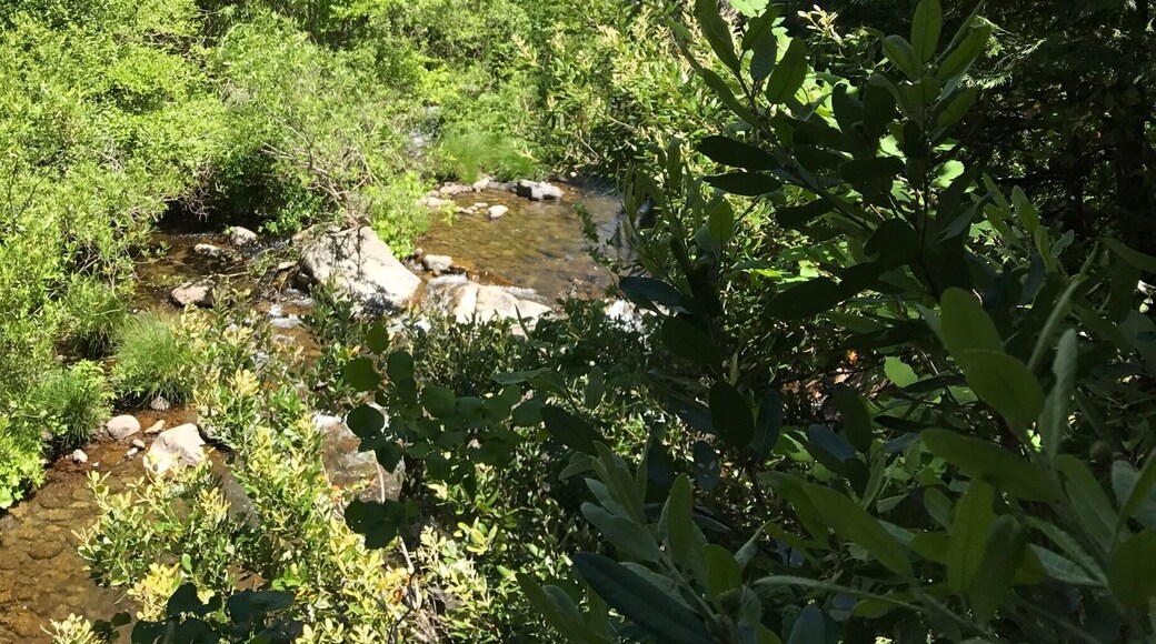 View of the waterfall in the distance
