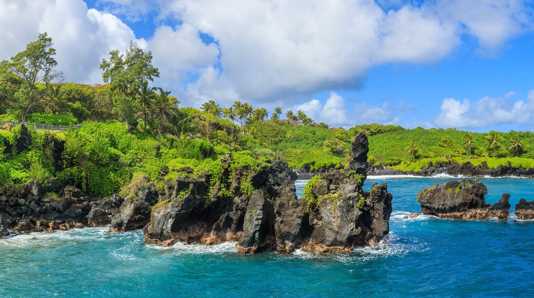 คาลาพานาซีวิวเอสเตทส์