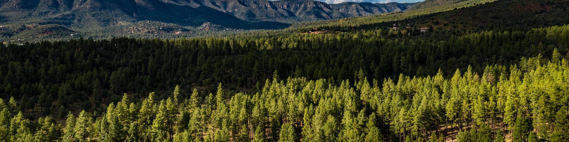 Aerial view of the Tonto National Forest from above the Pine Trailhead in Arizona with blue sky, white clouds and green ponderosa pines