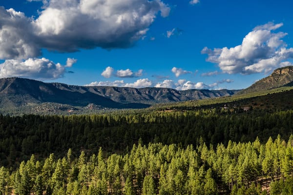 Aerial view of the Tonto National Forest from above the Pine Trailhead in Arizona with blue sky, white clouds and green ponderosa pines