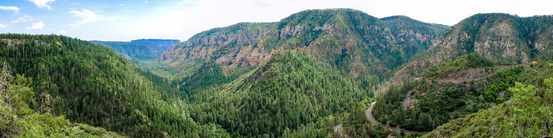 A mountainous landscape with dense forests and winding roads.