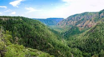 A mountainous landscape with dense forests and winding roads.