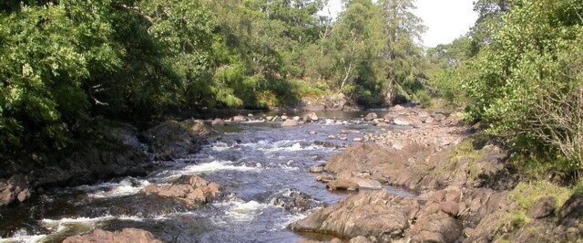 A rocky river with clear water flowing over rocks, surrounded by dense green foliage.