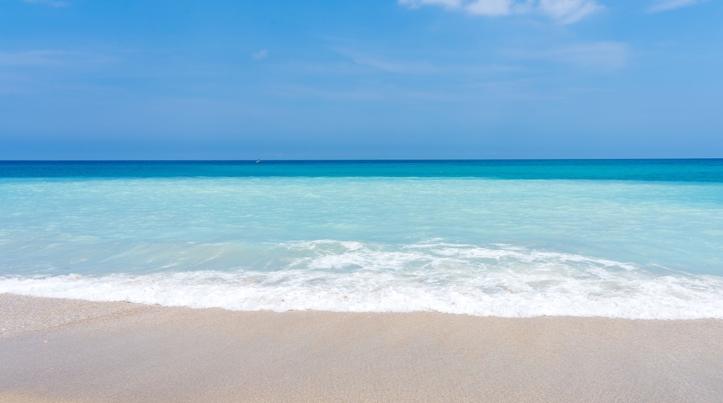 Une plage Ă lâeau turquoise et limpide, bordĂ©e dâun rivage sablonneux.