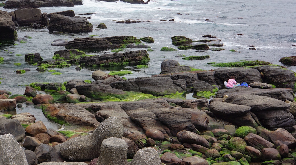 〧鿔·ćČž Dali Coast