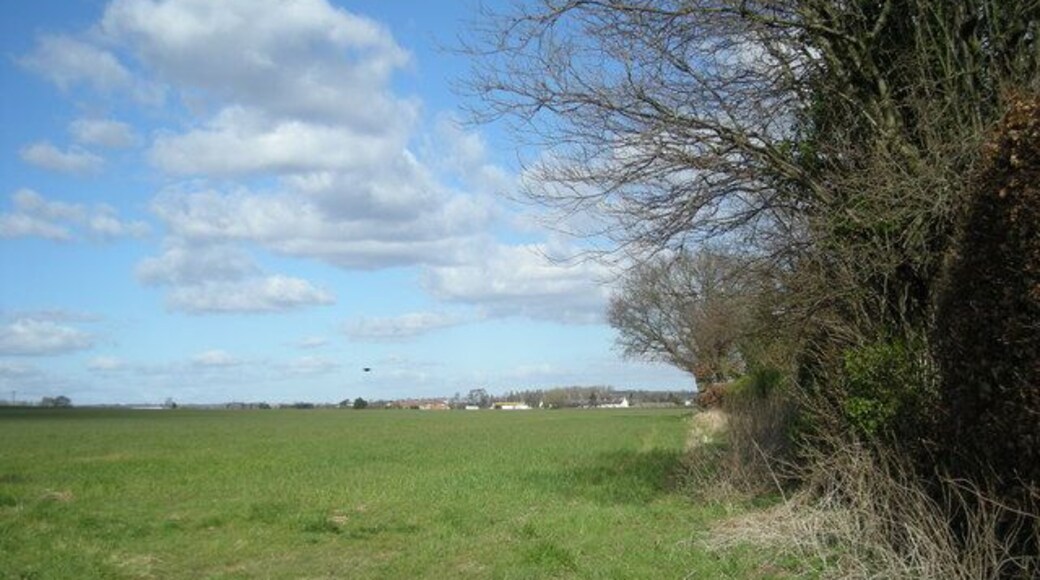 Field behind the houses of Sutton Maddock.