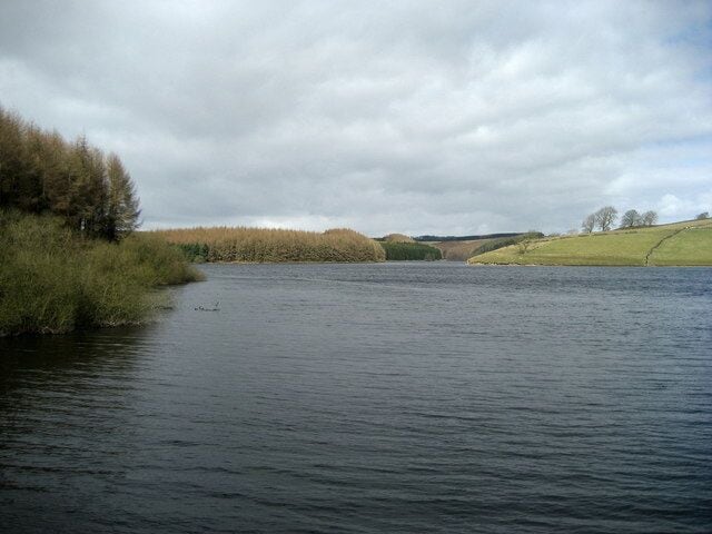 View over Thruscross Reservoir Looking north from the circular permissive path, towards the arm of the reservoir formed by the River Washburn.