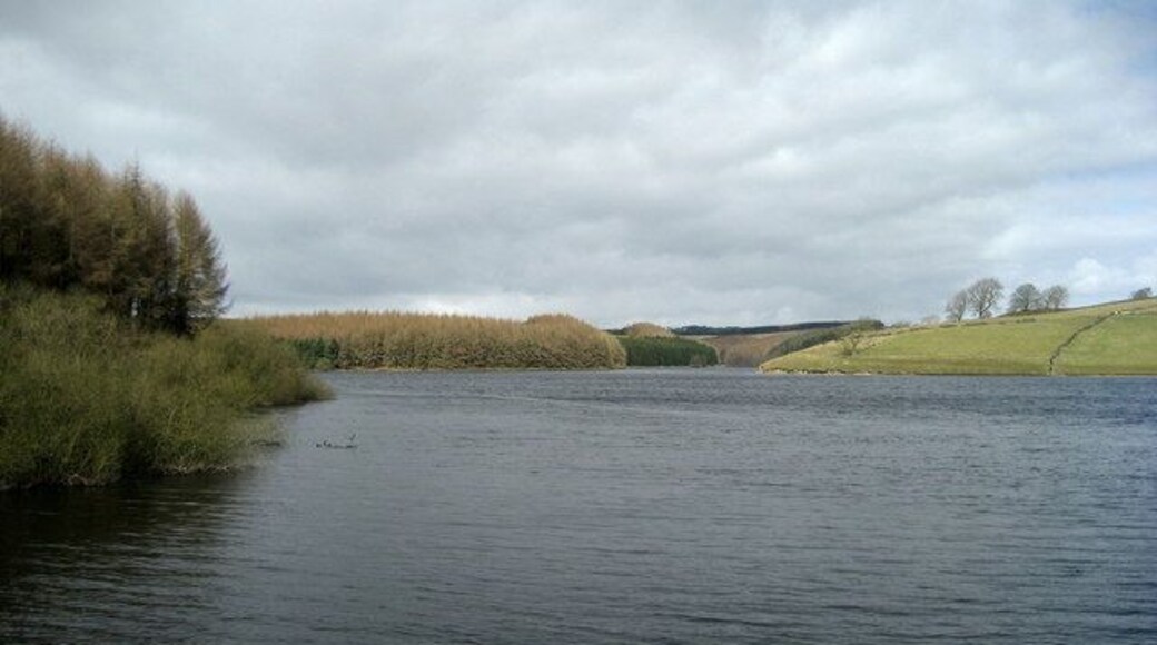 View over Thruscross Reservoir Looking north from the circular permissive path, towards the arm of the reservoir formed by the River Washburn.