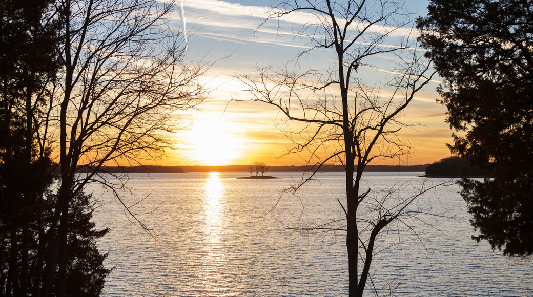 Silhouette of trees at Percy Priest Lake, Nashville, Tennessee