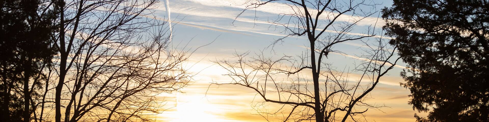 Silhouette of trees at Percy Priest Lake, Nashville, Tennessee