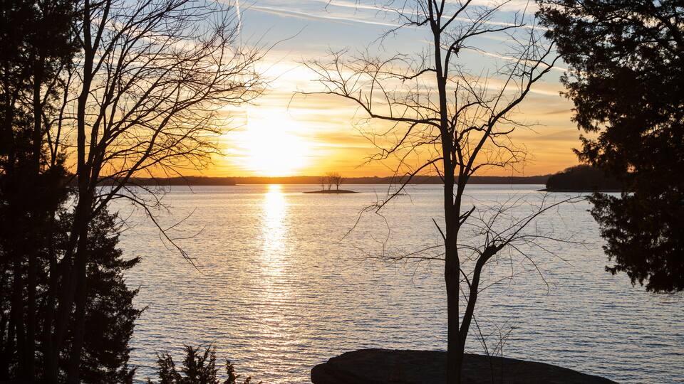 Silhouette of trees at Percy Priest Lake, Nashville, Tennessee