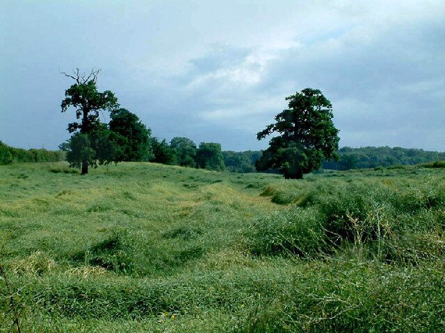 Farmland from the Lea Valley Walk.