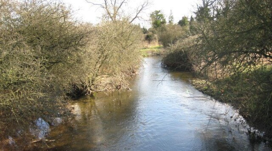 River Lee near Essendon. Viewed looking downstream from 723995.