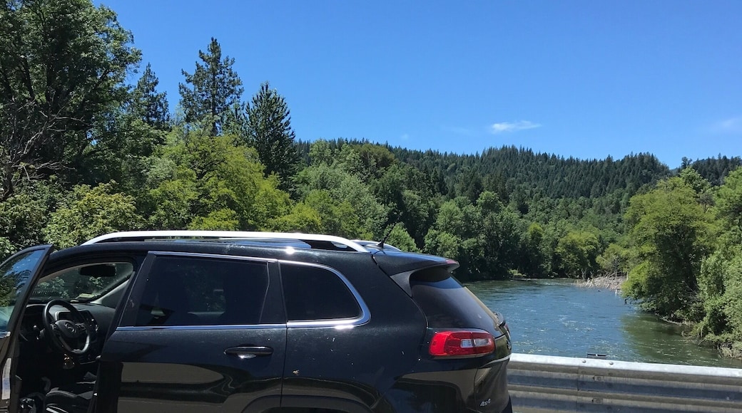 Approximately 3 miles from the little Pit Stop store you drive down a dirt road and park your car at the bridge and hike upstream to Hunt Hot Springs right along Big Bend creek upstream