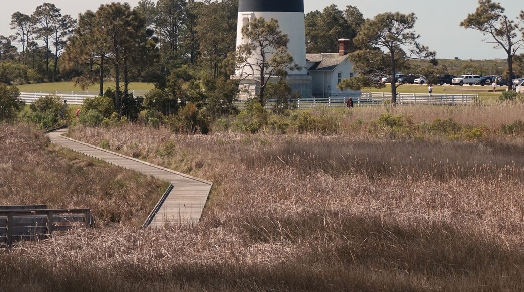 Black and Whtie Striped Body Island Lighthouse, Weathered Wooden Path, Dried Grasses, Sunny Day, Blue Sky