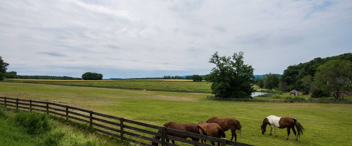 Rural Country York County Pennsylvania Farmland, on a Summer Day